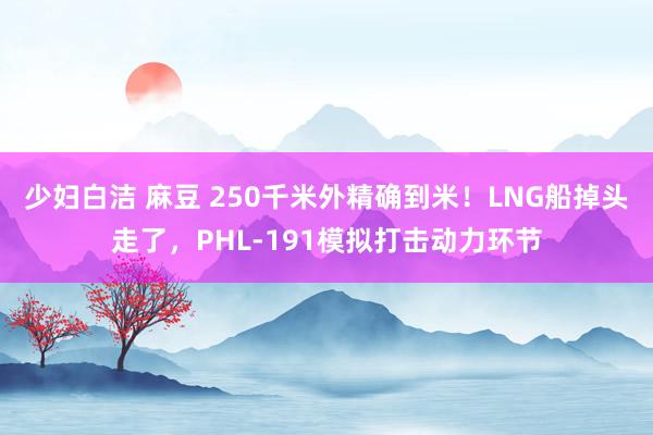 少妇白洁 麻豆 250千米外精确到米！LNG船掉头走了，PHL-191模拟打击动力环节