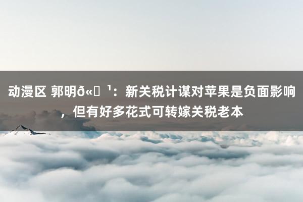 动漫区 郭明𫓹:新关税计谋对苹果是负面影响,但有好多花式可转嫁关税老本
