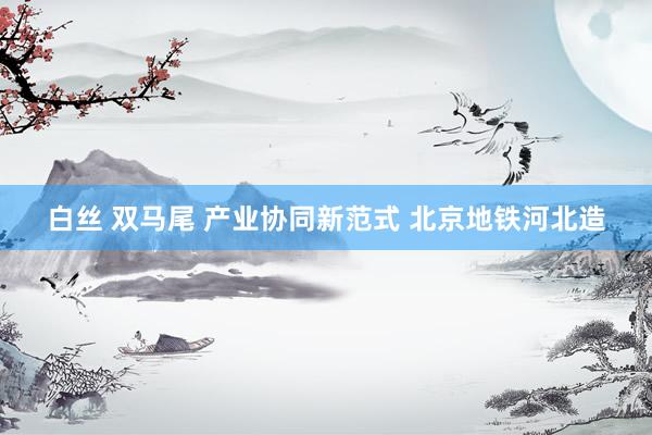 白丝 双马尾 产业协同新范式 北京地铁河北造