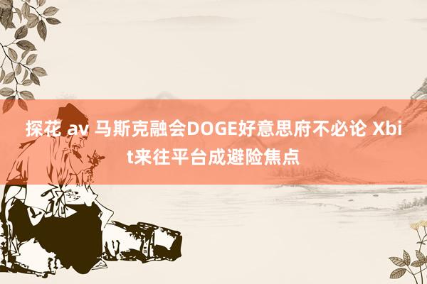 探花 av 马斯克融会DOGE好意思府不必论 Xbit来往平台成避险焦点