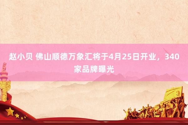 赵小贝 佛山顺德万象汇将于4月25日开业，340家品牌曝光