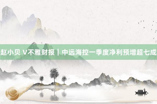 赵小贝 V不雅财报|中远海控一季度净利预增超七成