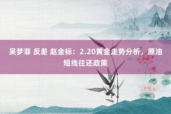 吴梦菲 反差 赵金标:2.20黄金走势分析,原油短线往还政策