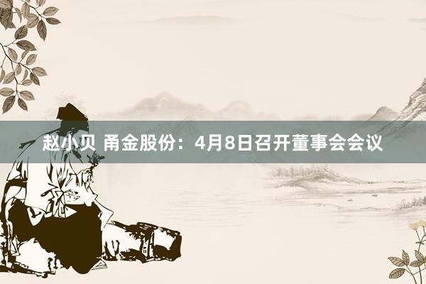 赵小贝 甬金股份：4月8日召开董事会会议