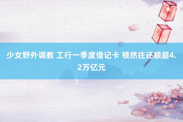 少女野外调教 工行一季度借记卡 顿然往还额超4.2万亿元