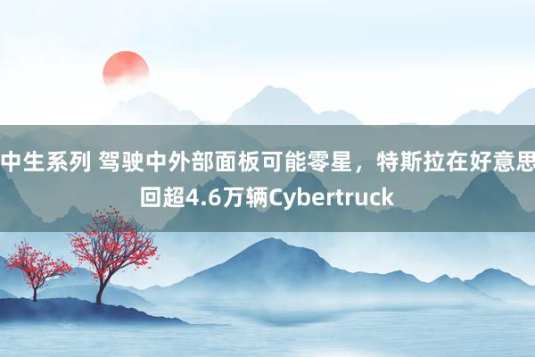 初中生系列 驾驶中外部面板可能零星，特斯拉在好意思调回超4.6万辆Cybertruck