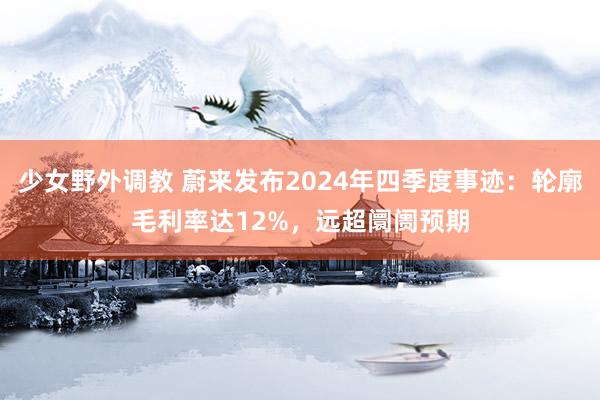 少女野外调教 蔚来发布2024年四季度事迹：轮廓毛利率达12%，远超阛阓预期