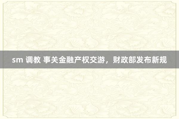sm 调教 事关金融产权交游，财政部发布新规
