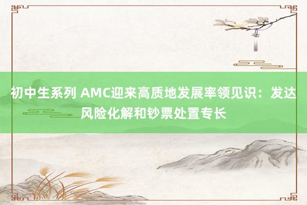 初中生系列 AMC迎来高质地发展率领见识：发达风险化解和钞票处置专长