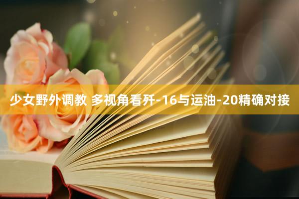 少女野外调教 多视角看歼-16与运油-20精确对接