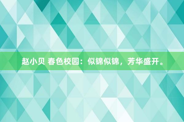 赵小贝 春色校园：似锦似锦，芳华盛开。