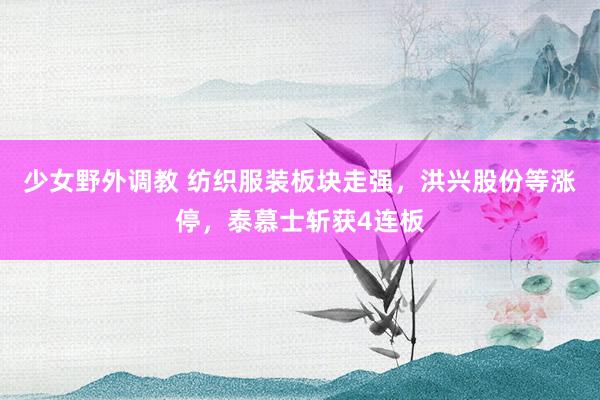 少女野外调教 纺织服装板块走强,洪兴股份等涨停,泰慕士斩获4连板