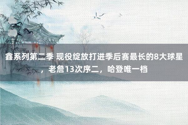 鑫系列第二季 现役绽放打进季后赛最长的8大球星，老詹13次序二，哈登唯一档