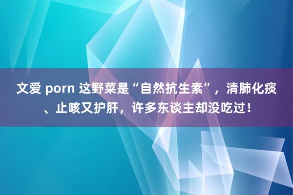 文爱 porn 这野菜是“自然抗生素”,清肺化痰、止咳又护肝,许多东谈主却没吃过!
