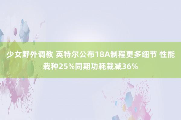 少女野外调教 英特尔公布18A制程更多细节 性能栽种25%同期功耗裁减36%