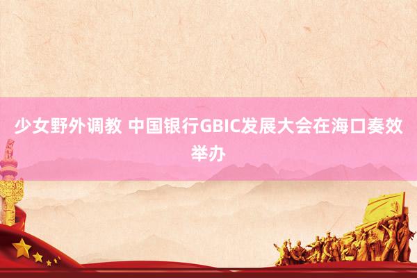 少女野外调教 中国银行GBIC发展大会在海口奏效举办