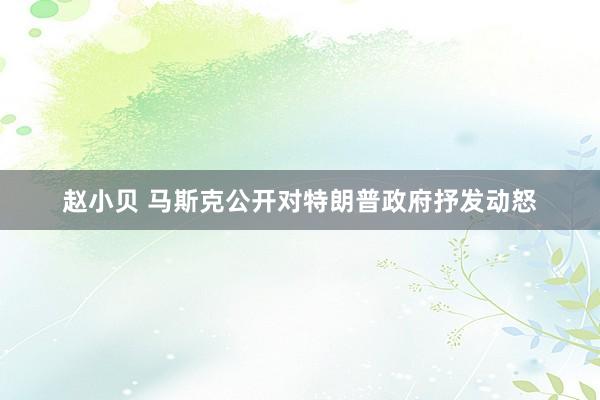 赵小贝 马斯克公开对特朗普政府抒发动怒