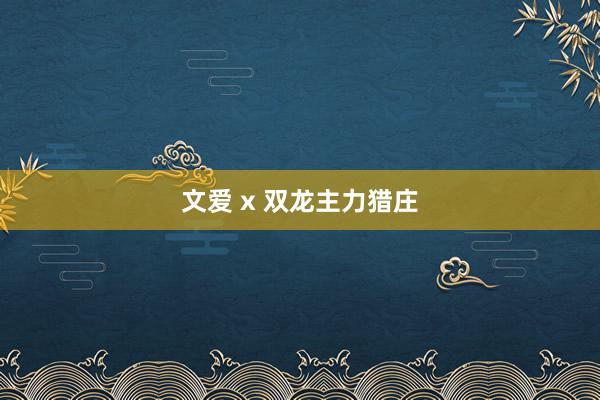 文爱 x 双龙主力猎庄
