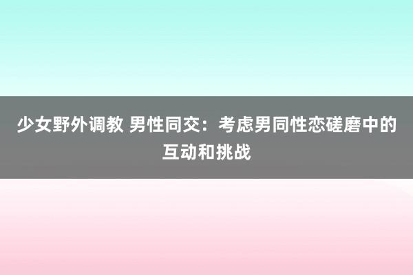少女野外调教 男性同交：考虑男同性恋磋磨中的互动和挑战