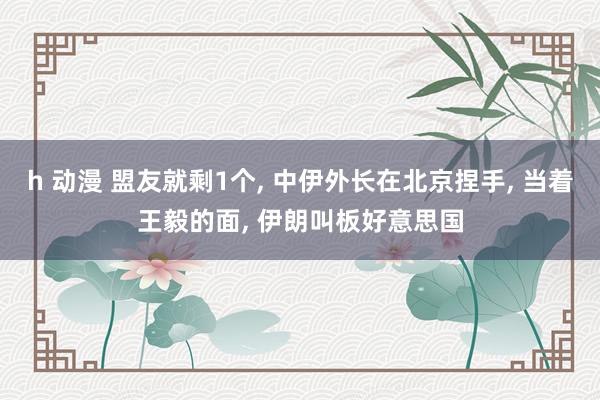 h 动漫 盟友就剩1个, 中伊外长在北京捏手, 当着王毅的面, 伊朗叫板好意思国