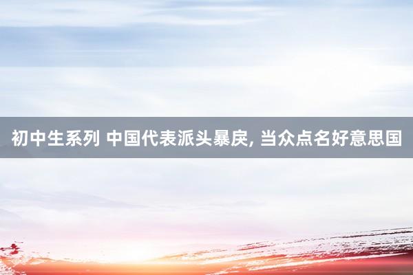 初中生系列 中国代表派头暴戾, 当众点名好意思国